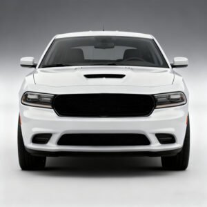 For Dodge Body Parts